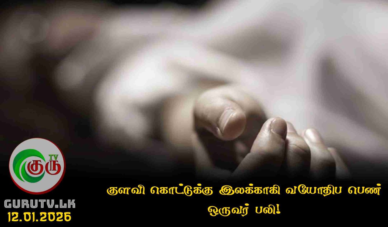 குளவி கொட்டுக்கு இலக்காகி வயோதிப பெண் ஒருவர் பலி!