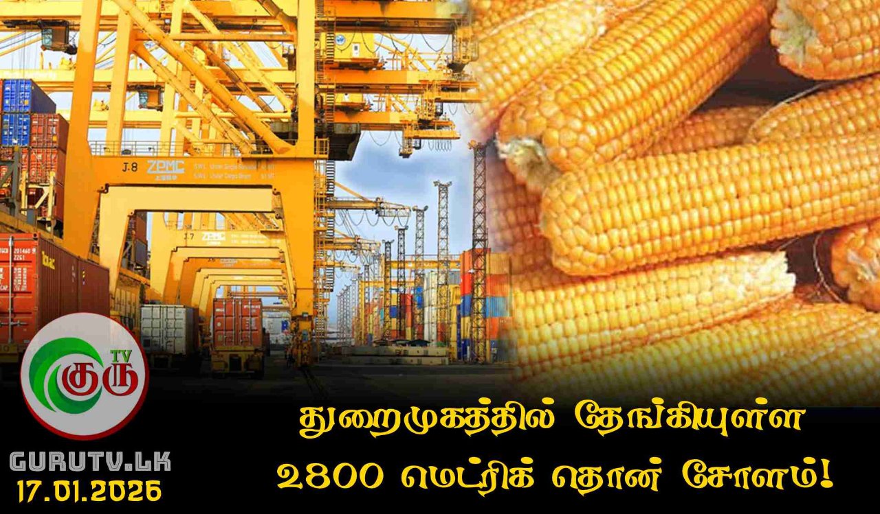 துறைமுகத்தில் தேங்கியுள்ள 2800 மெட்ரிக் தொன் சோளம்!