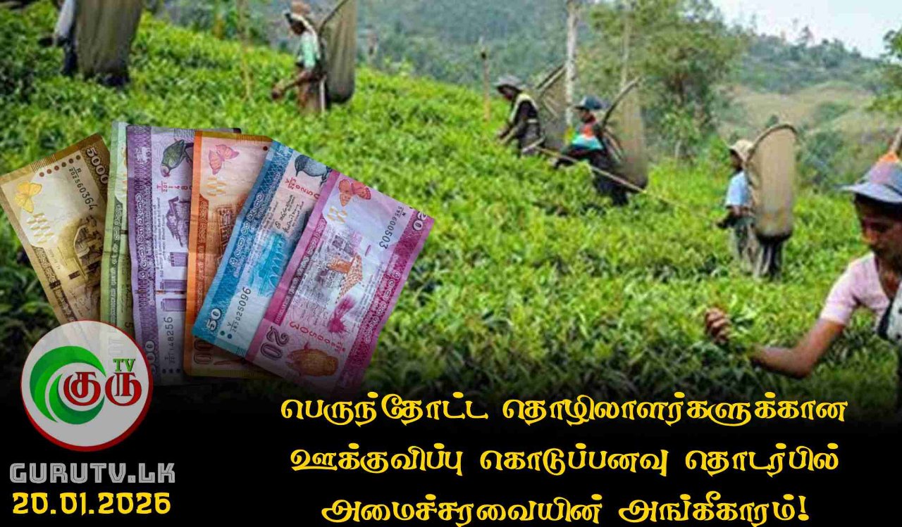 பெருந்தோட்ட தொழிலாளர்களுக்கான ஊக்குவிப்பு கொடுப்பனவு தொடர்பில் அமைச்சரவையின் அங்கீகாரம்!