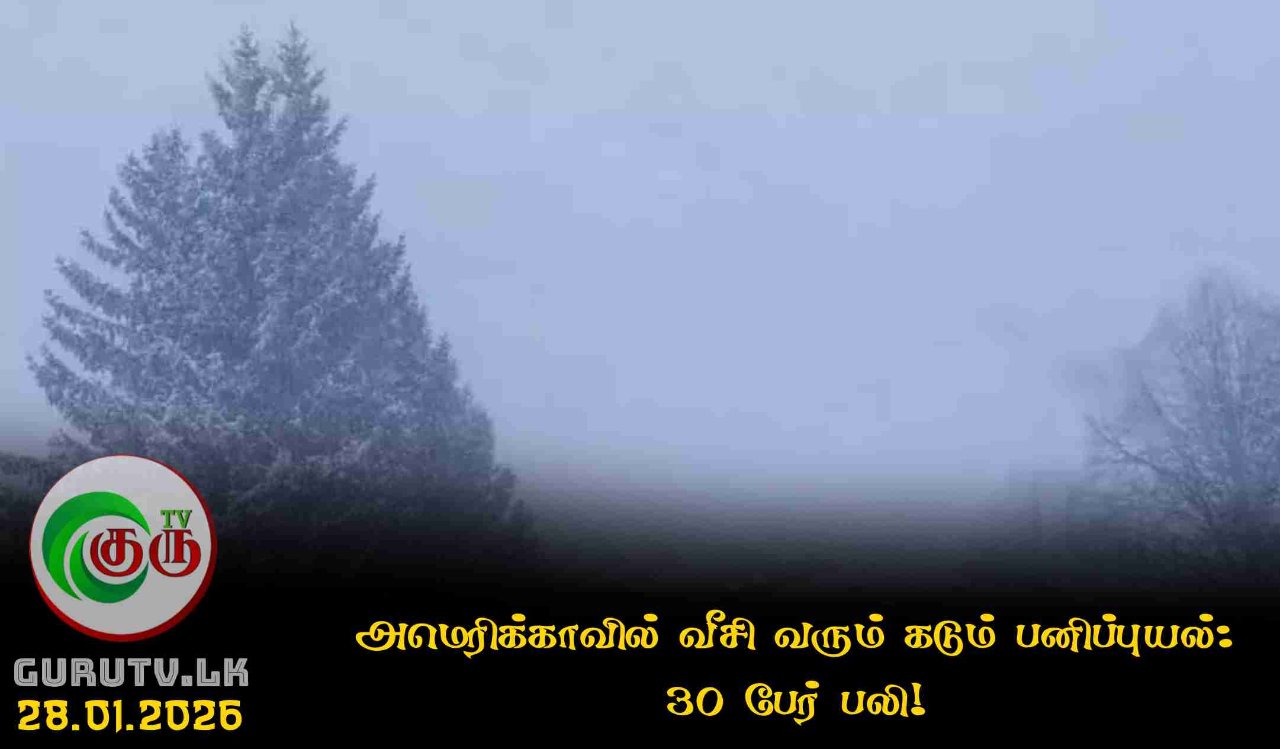 அமெரிக்காவில் வீசி வரும் கடும் பனிப்புயல்: 30 பேர் பலி!