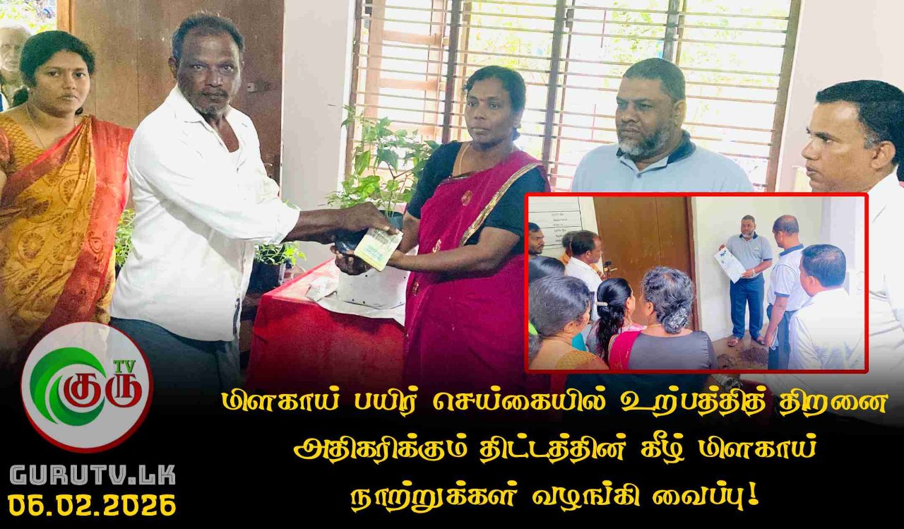 மிளகாய் பயிர் செய்கையில் உற்பத்தித் திறனை அதிகரிக்கும் திட்டத்தின் கீழ் மிளகாய் நாற்றுக்கள் வழங்கி வைப்பு!