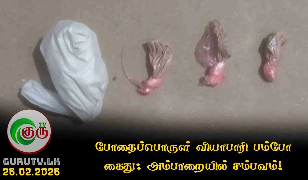 போதைப்பொருள் வியாபாரி பம்போ கைது: அம்பாறையில் சம்பவம்!