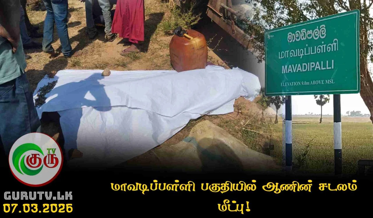 மாவடிப்பள்ளி பகுதியில் ஆணின் சடலம் மீட்பு!