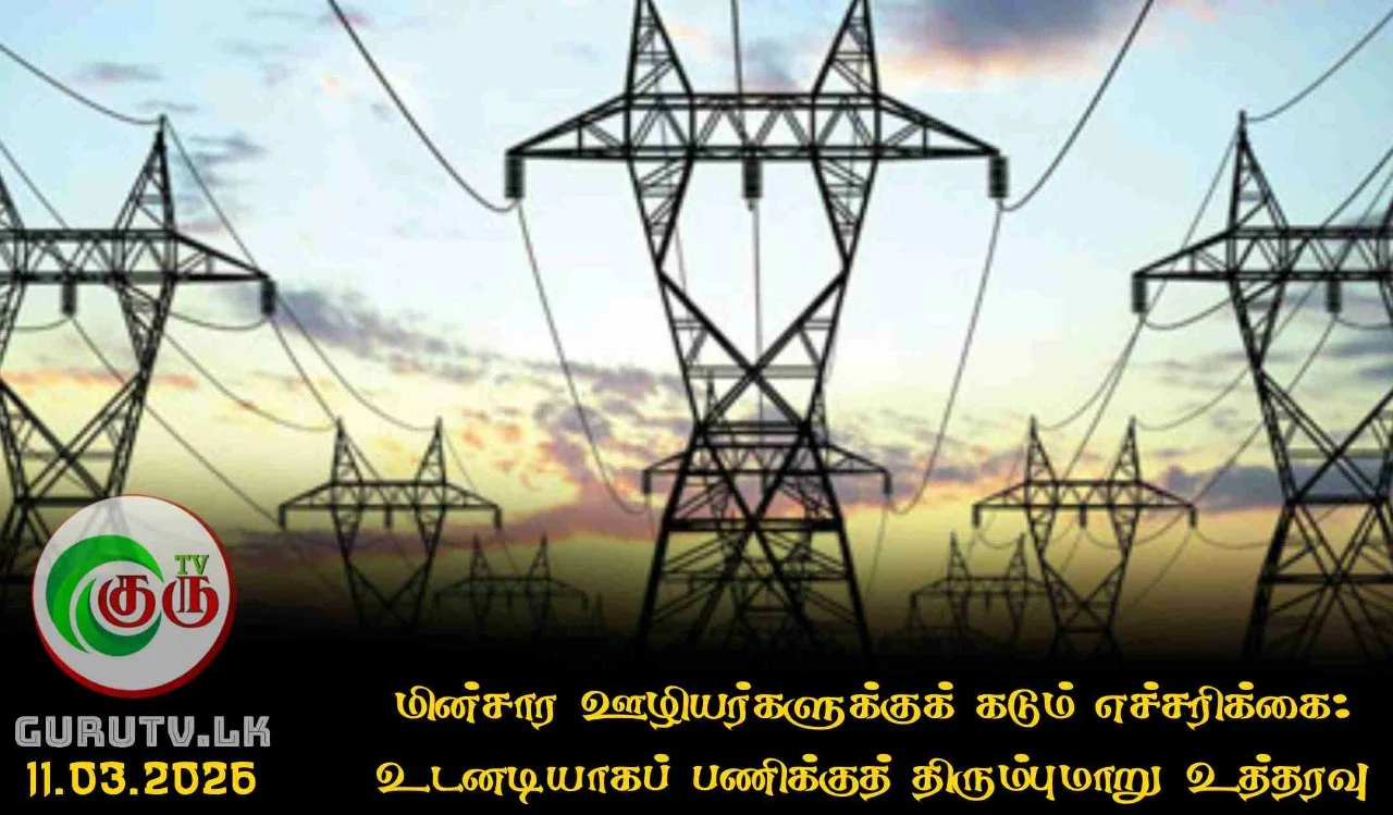மின்சார ஊழியர்களுக்குக் கடும் எச்சரிக்கை: உடனடியாகப் பணிக்குத் திரும்புமாறு உத்தரவு