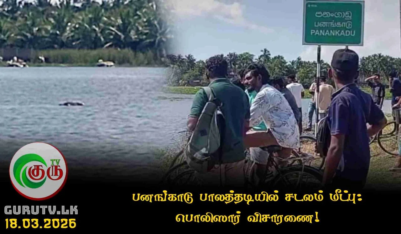 பனங்காடு பாலத்தடியில் சடலம் மீட்பு: பொலிஸார் விசாரணை!