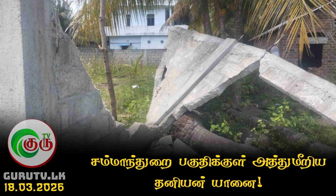 சம்மாந்துறை பகுதிக்குள் அத்துமீறிய தனியன் யானை!