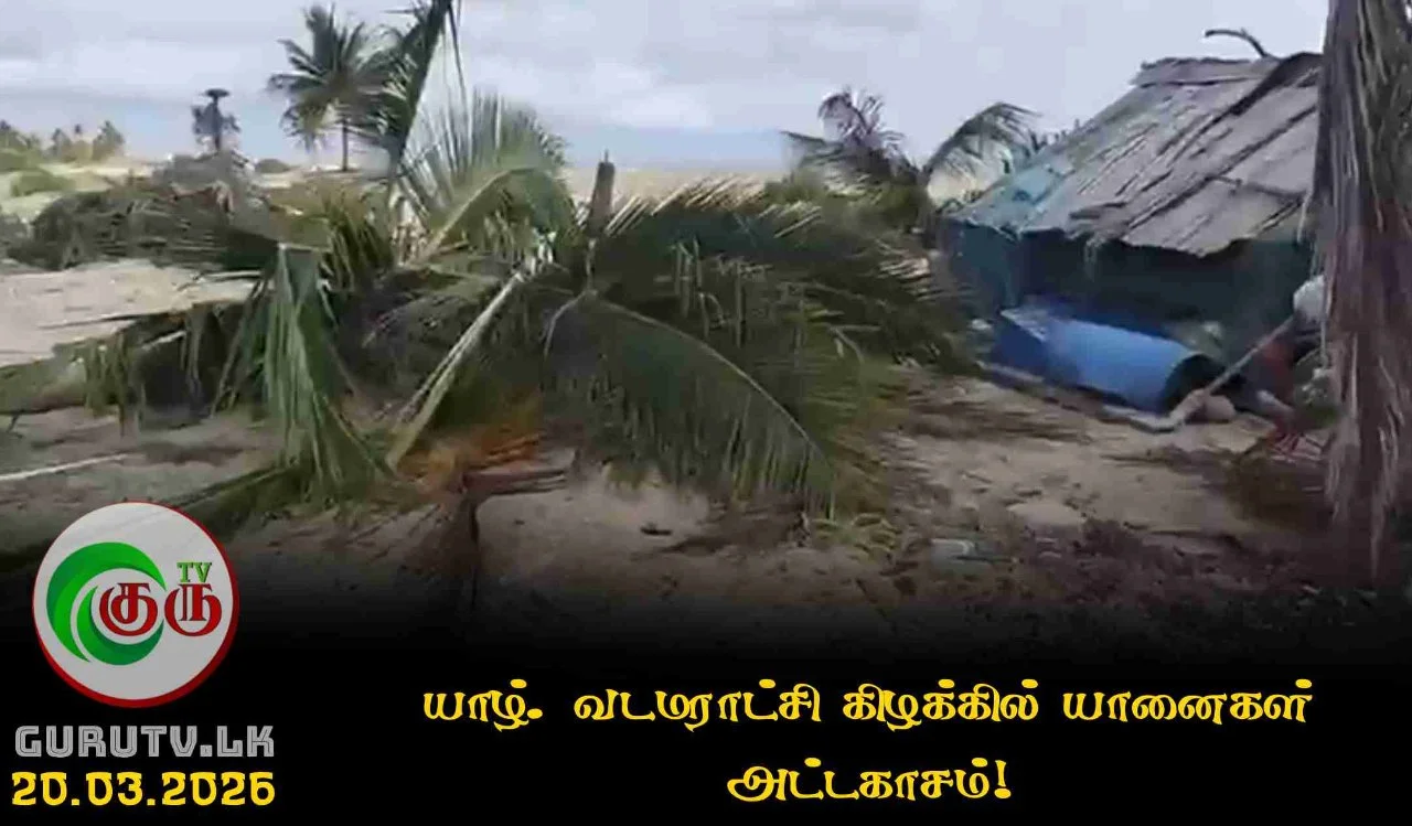 யாழ். வடமராட்சி கிழக்கில் யானைகள் அட்டகாசம்!