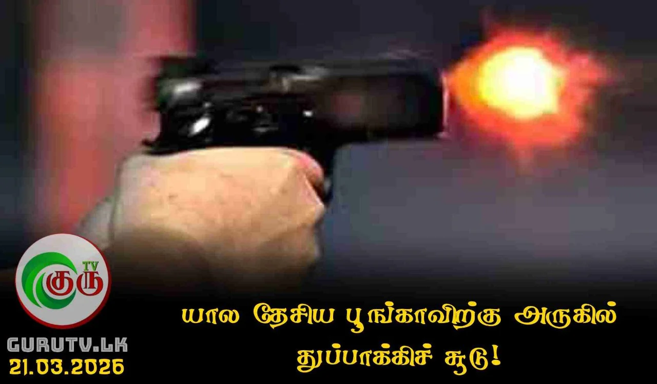 யால தேசிய பூங்காவிற்கு அருகில் துப்பாக்கிச் சூடு!