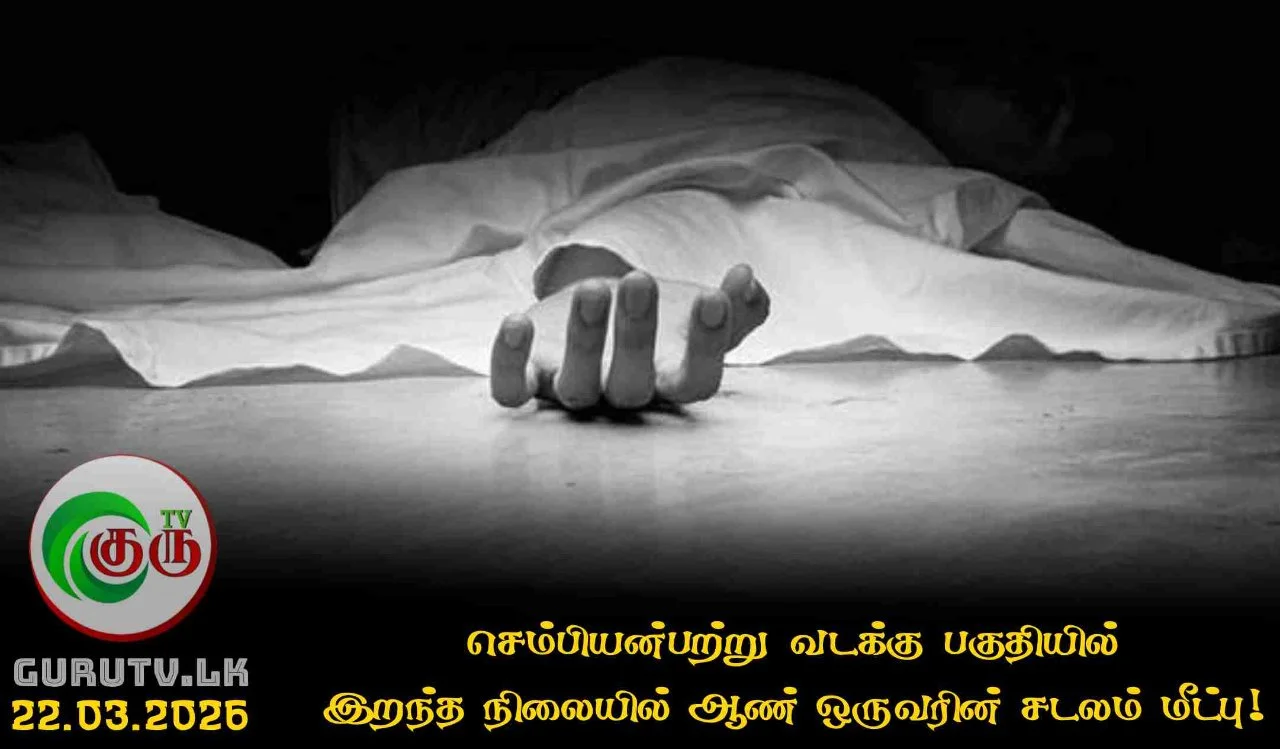 செம்பியன்பற்று வடக்கு பகுதியில் இறந்த நிலையில் ஆண் ஒருவரின் சடலம் மீட்பு!