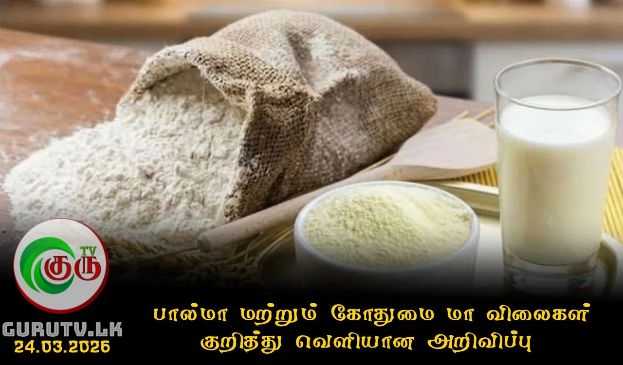 பால்மா மற்றும் கோதுமை மா விலைகள் குறித்து வெளியான அறிவிப்பு