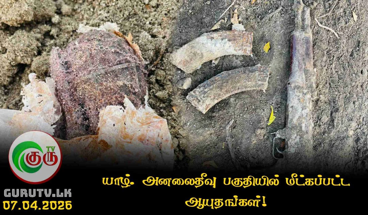 யாழ். அனலைதீவு பகுதியில் மீட்கப்பட்ட ஆயுதங்கள்!