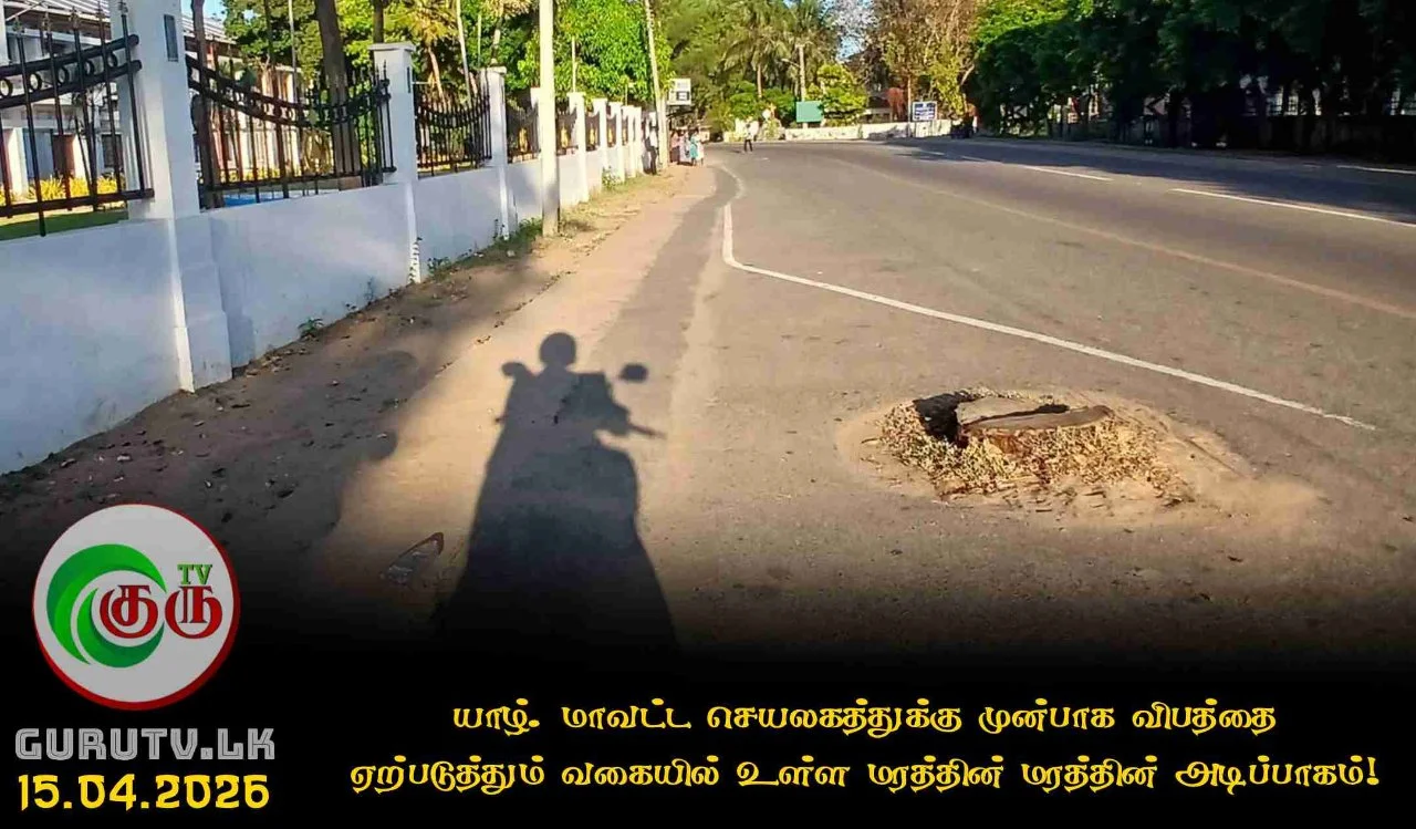 யாழ். மாவட்ட செயலகத்துக்கு முன்பாக விபத்தை ஏற்படுத்தும் வகையில் உள்ள மரத்தின் மரத்தின் அடிப்பாகம்!