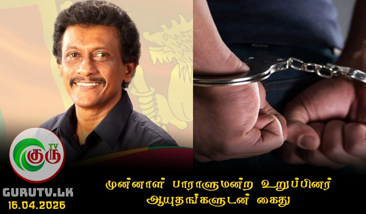 முன்னாள் பாராளுமன்ற உறுப்பினர் ஆயுதங்களுடன் கைது