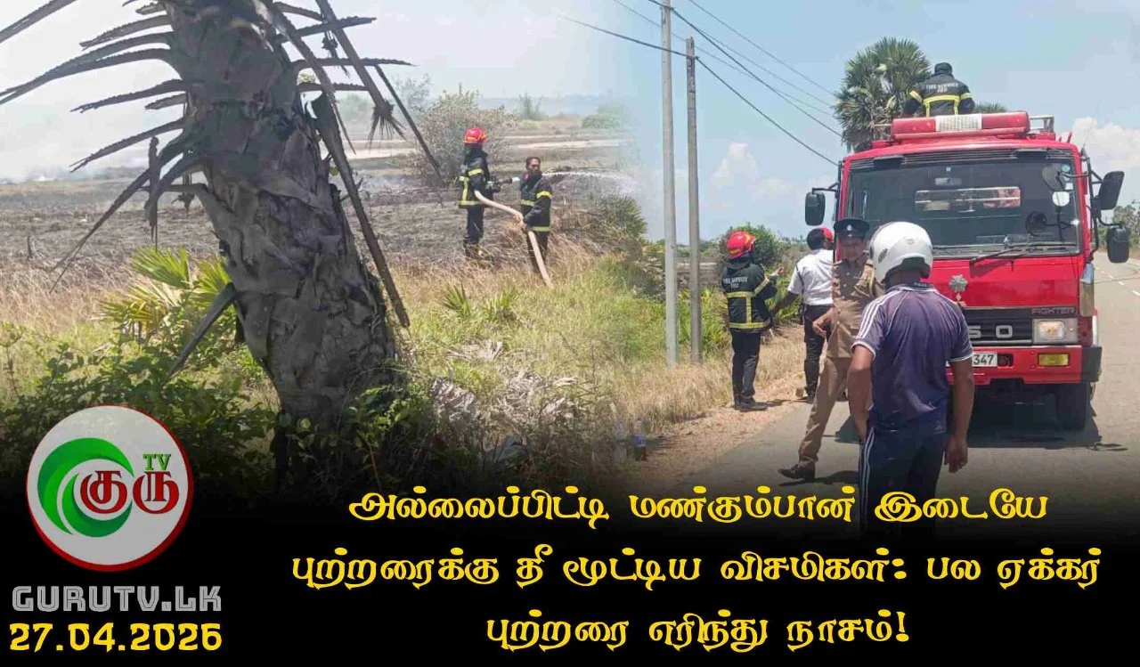 அல்லைப்பிட்டி மண்கும்பான் இடையே புற்றரைக்கு தீ மூட்டிய விசமிகள்: பல ஏக்கர் புற்றரை எரிந்து நாசம்!