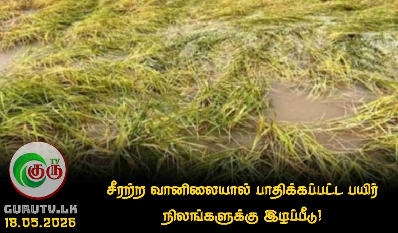 சீரற்ற வானிலையால் பாதிக்கப்பட்ட பயிர் நிலங்களுக்கு இழப்பீடு!