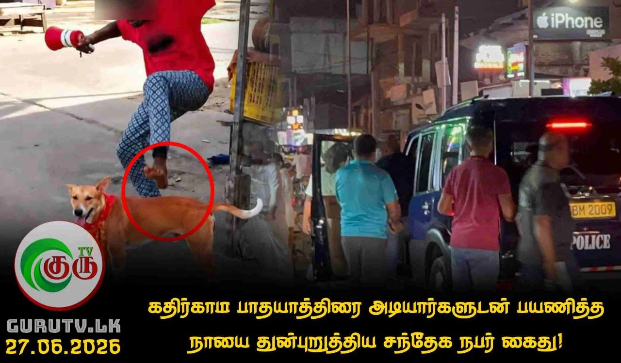 கதிர்காம பாதயாத்திரை அடியார்களுடன் பயணித்த நாயை துன்புறுத்திய சந்தேக நபர் கைது!