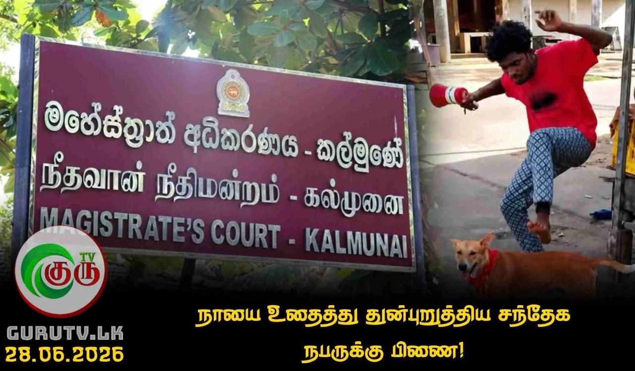 நாயை உதைத்து துன்புறுத்திய சந்தேக நபருக்கு பிணை!
