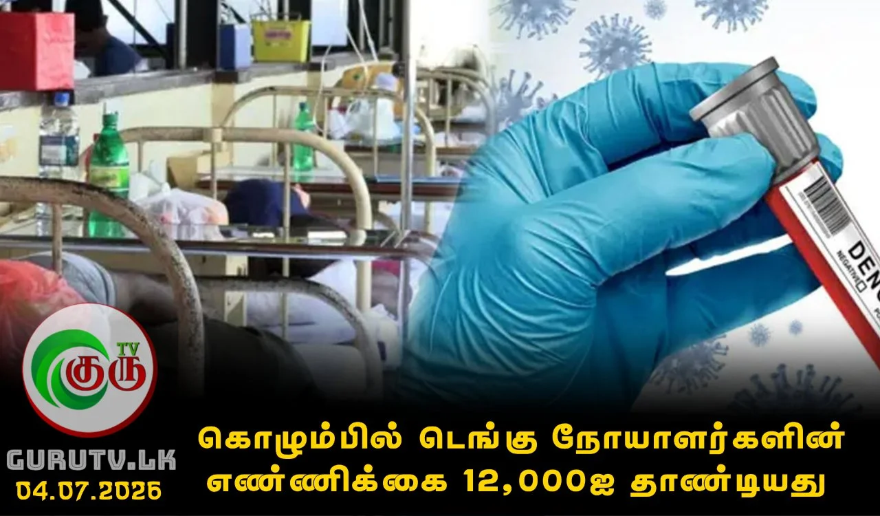 கொழும்பில் டெங்கு நோயாளர்களின் எண்ணிக்கை 12,000ஐ தாண்டியது