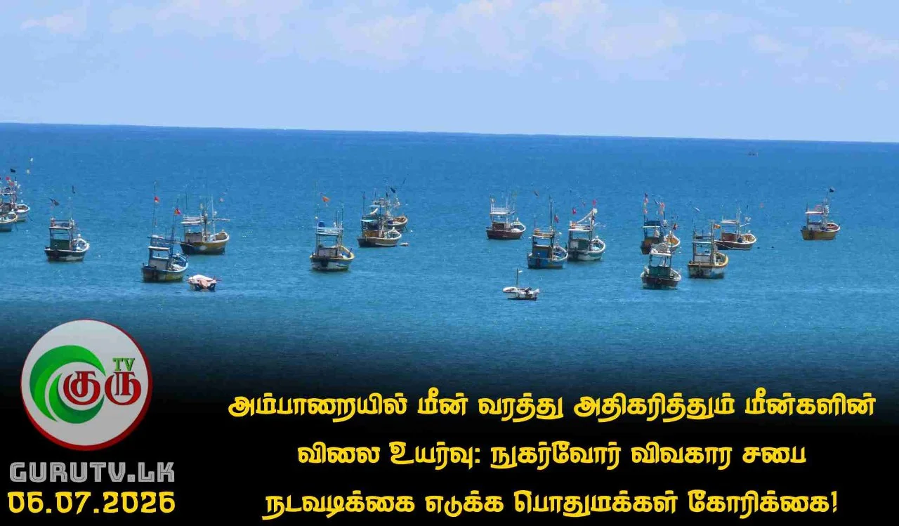 அம்பாறையில் மீன் வரத்து அதிகரித்தும் மீன்களின் விலை உயர்வு; நுகர்வோர் விவகார சபை நடவடிக்கை எடுக்க பொதுமக்கள் கோரிக்கை!