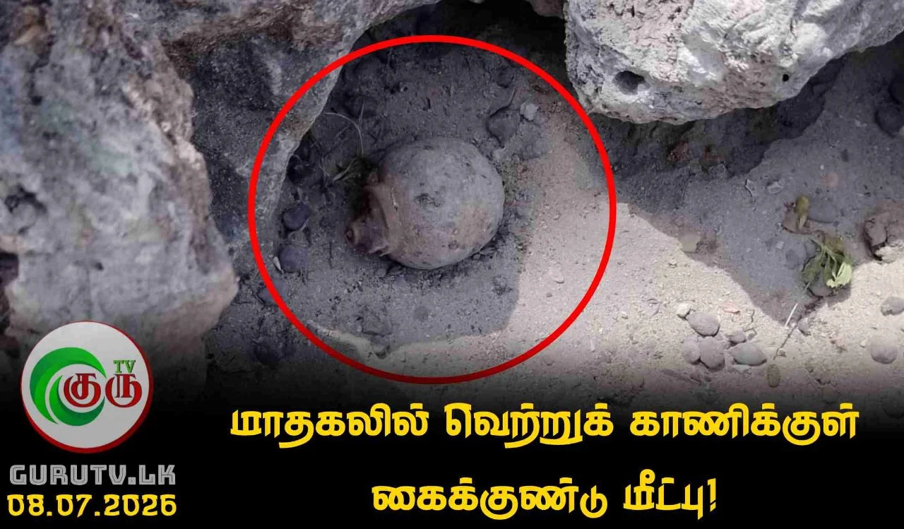 மாதகலில் வெற்றுக் காணிக்குள் கைக்குண்டு மீட்பு!