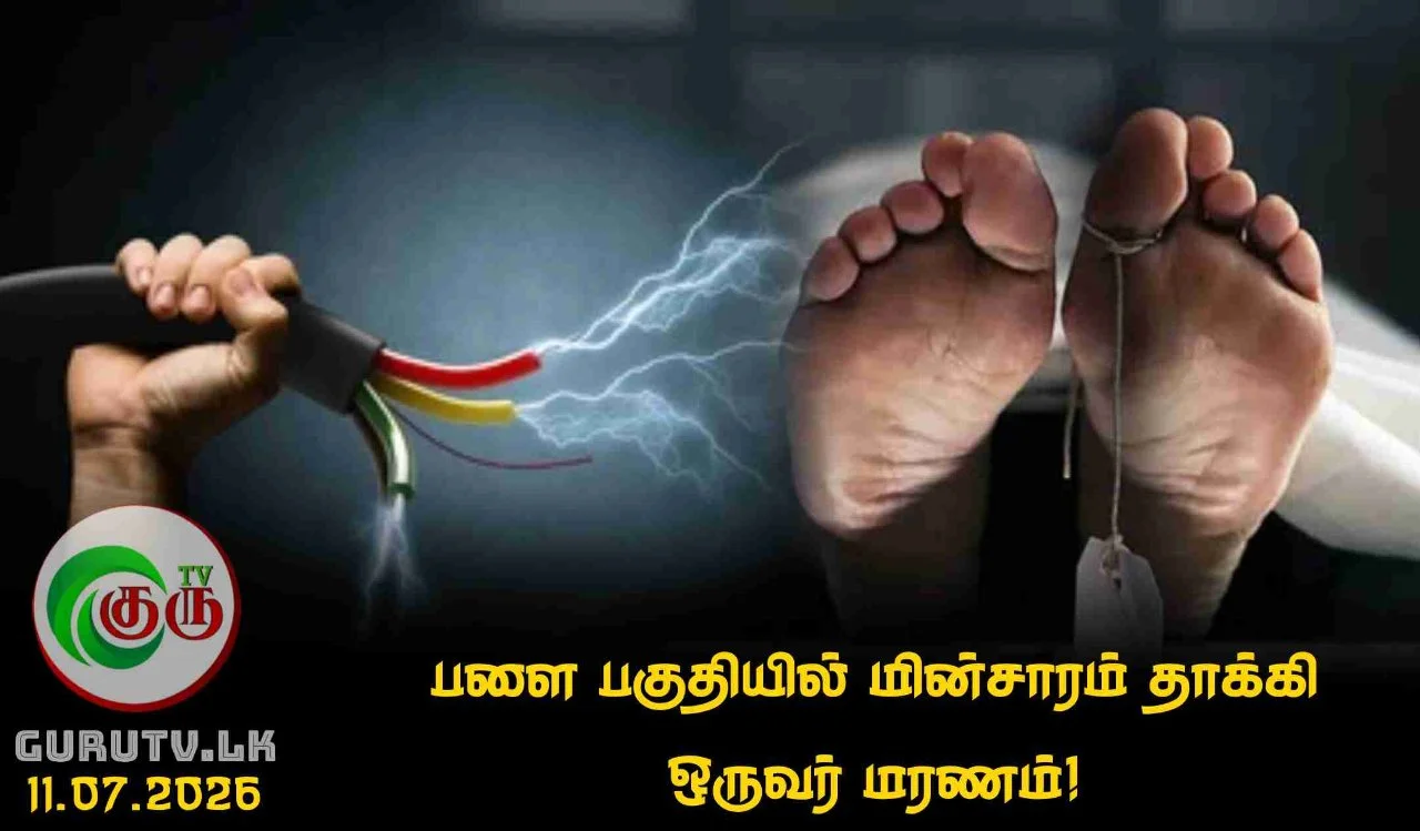 பளை பகுதியில் மின்சாரம் தாக்கி ஒருவர் மரணம்!