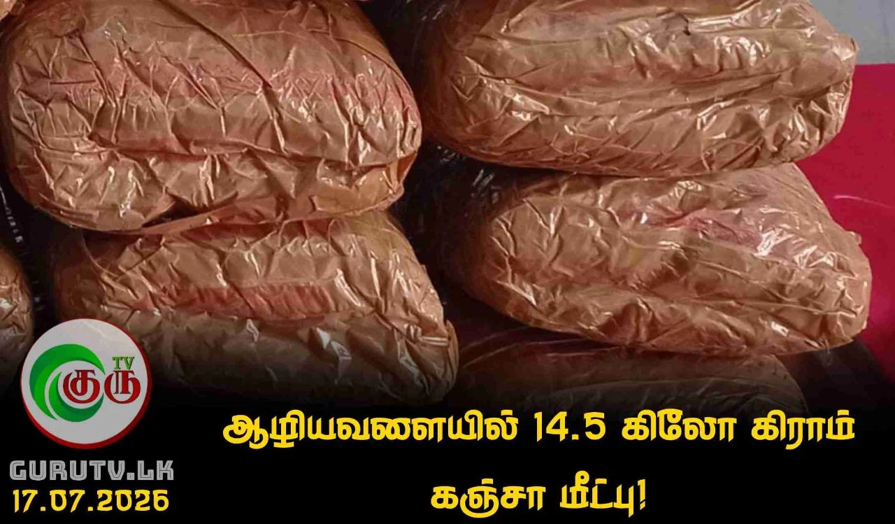ஆழியவளையில் 14.5 கிலோ கிராம் கஞ்சா மீட்பு!