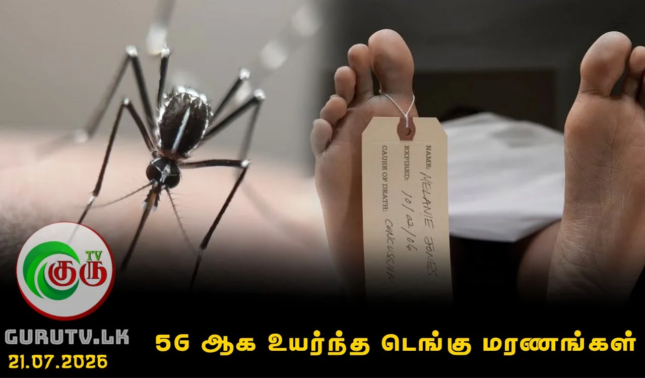 56 ஆக உயர்ந்த டெங்கு மரணங்கள்