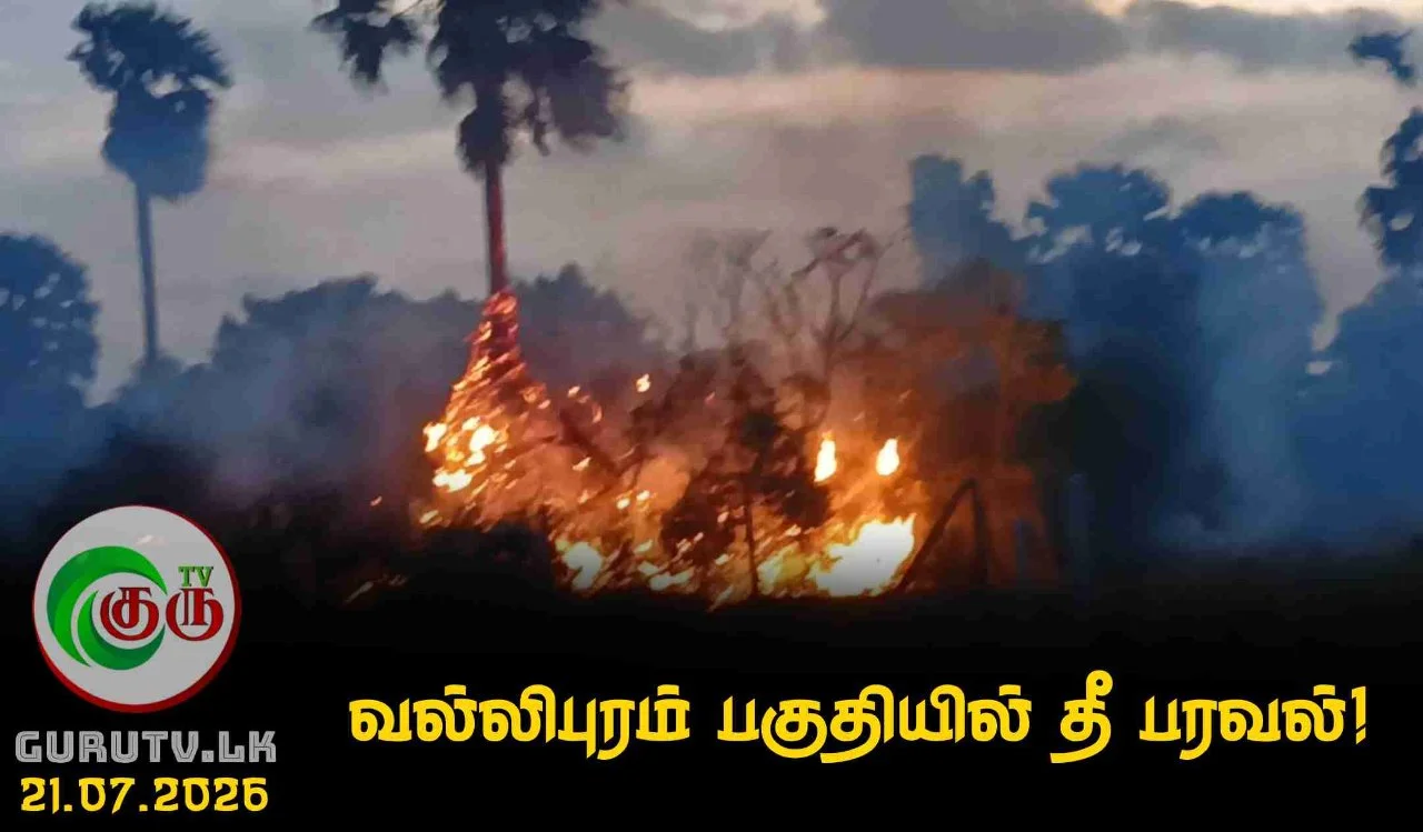 வல்லிபுரம் பகுதியில் தீ பரவல்!