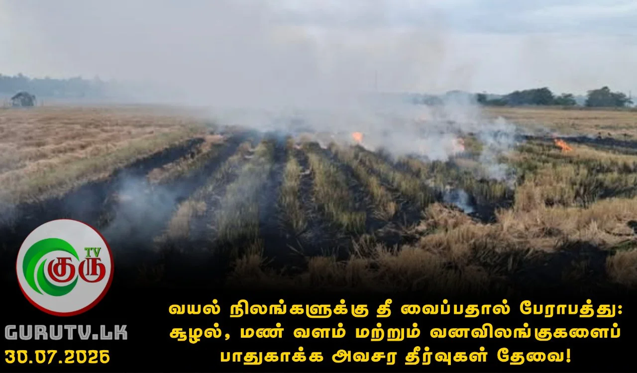 வயல் நிலங்களுக்கு தீ வைப்பதால் பேராபத்து: சூழல், மண் வளம் மற்றும் வனவிலங்குகளைப் பாதுகாக்க அவசர தீர்வுகள் தேவை!