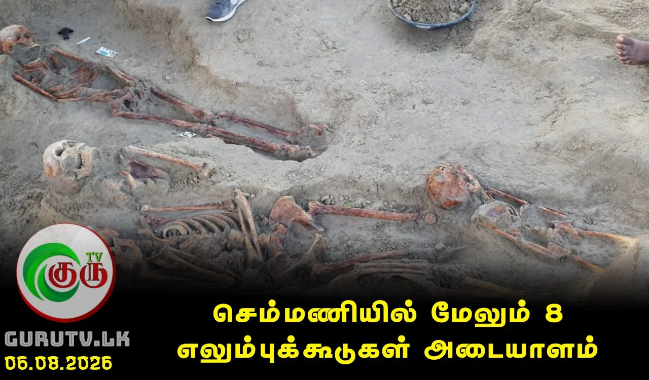 செம்மணியில் மேலும் 8 எலும்புக்கூடுகள் அடையாளம்