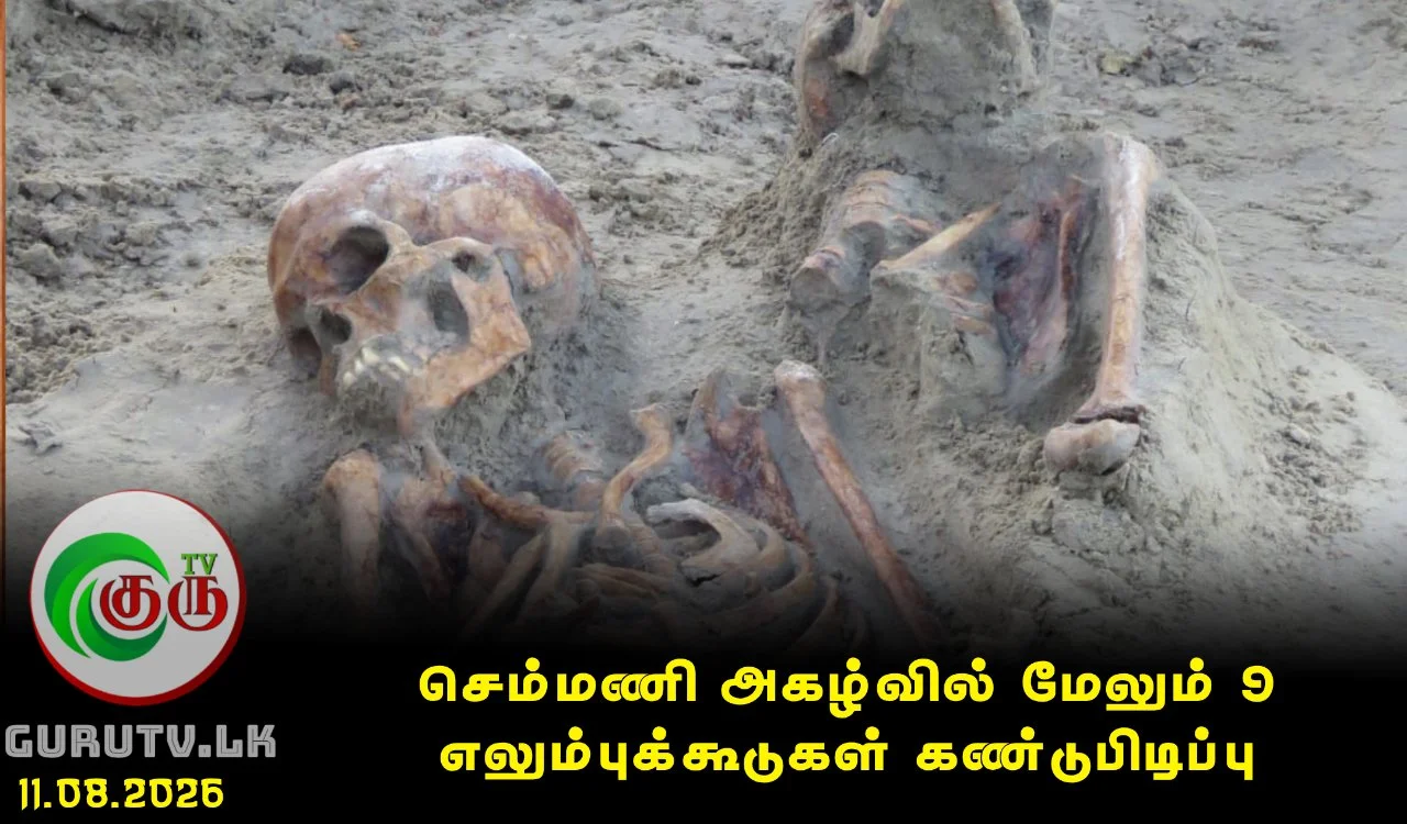 செம்மணி அகழ்வில் மேலும் 9 எலும்புக்கூடுகள் கண்டுபிடிப்பு