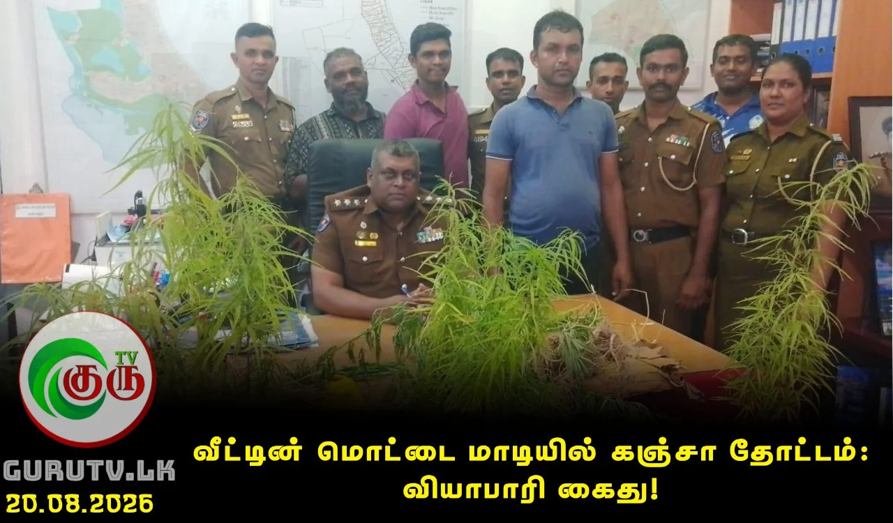வீட்டின் மொட்டை மாடியில் கஞ்சா தோட்டம்: வியாபாரி கைது!