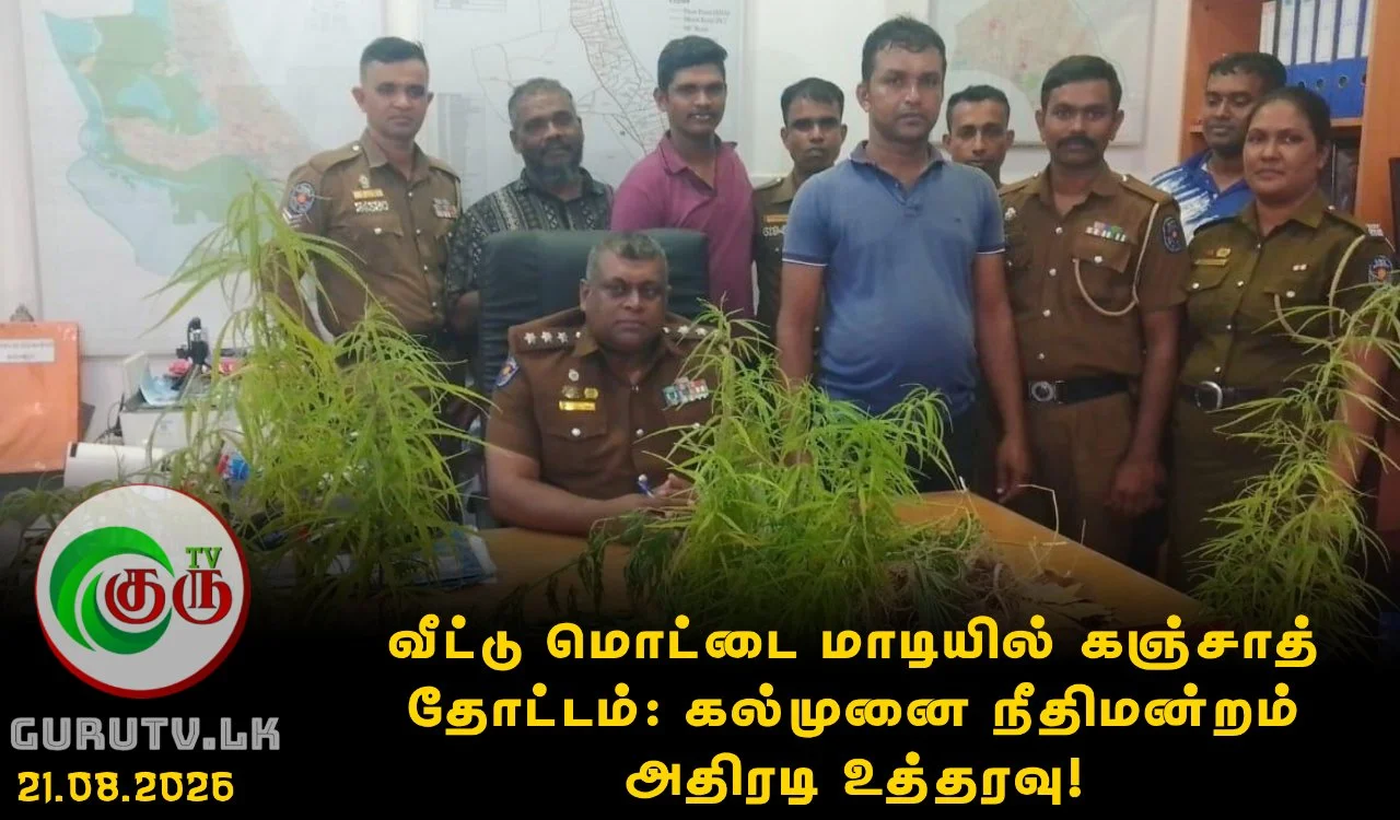 வீட்டு மொட்டை மாடியில் கஞ்சாத் தோட்டம்: கல்முனை நீதிமன்றம் அதிரடி உத்தரவு!