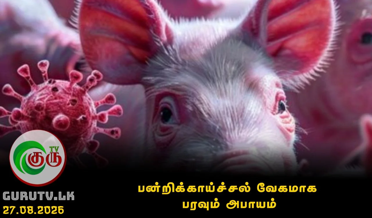 பன்றிக்காய்ச்சல் வேகமாக பரவும் அபாயம்