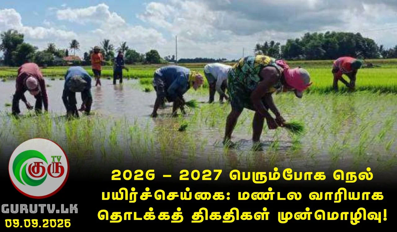 2026/27 பெரும்போக நெல் பயிர்ச்செய்கை: மண்டல வாரியாக தொடக்கத் திகதிகள் முன்மொழிவு!