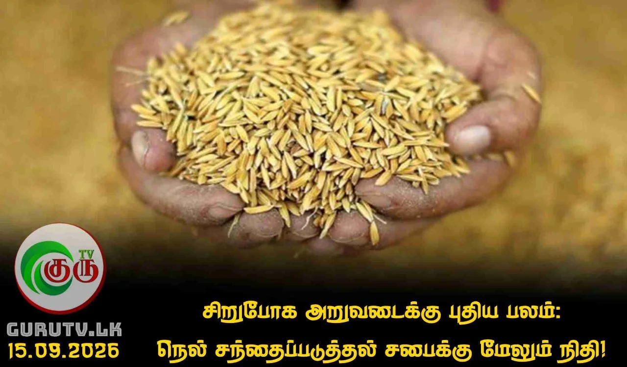 சிறுபோக அறுவடைக்கு புதிய பலம்: நெல் சந்தைப்படுத்தல் சபைக்கு மேலும் நிதி!