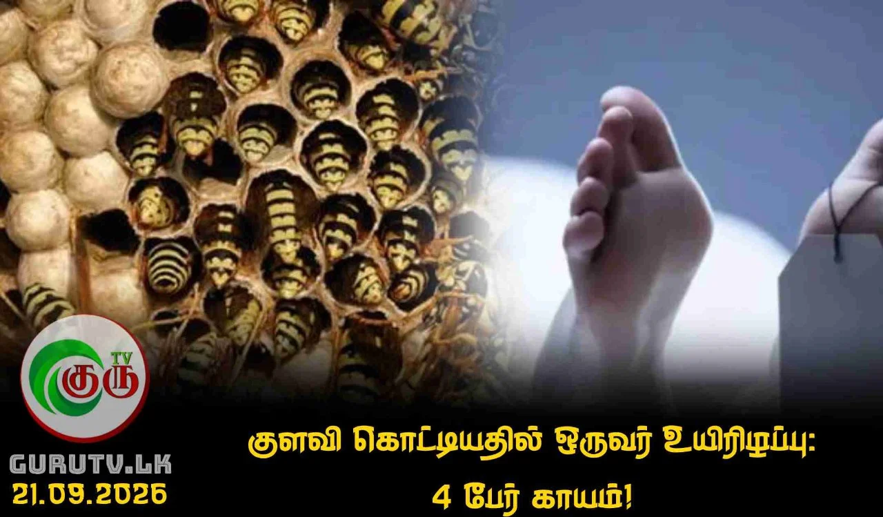 குளவி கொட்டியதில் ஒருவர் உயிரிழப்பு:  4 பேர் காயம்!