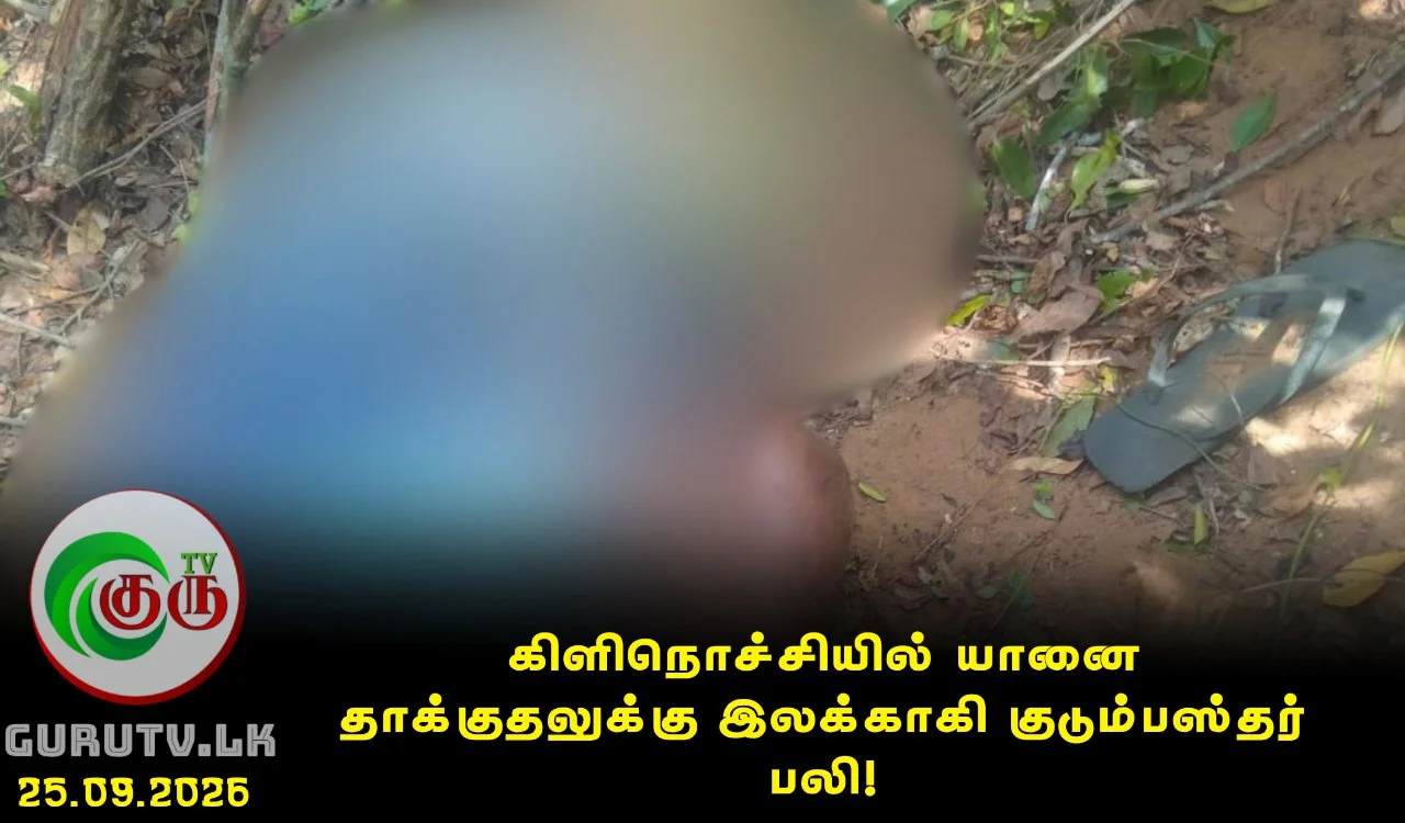கிளிநொச்சியில் யானை தாக்குதலுக்கு இலக்காகி குடும்பஸ்தர் பலி!