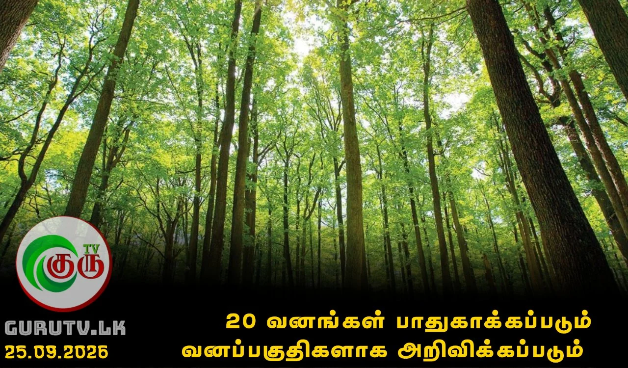 20 வனங்கள் பாதுகாக்கப்படும் வனப்பகுதிகளாக அறிவிக்கப்படும்