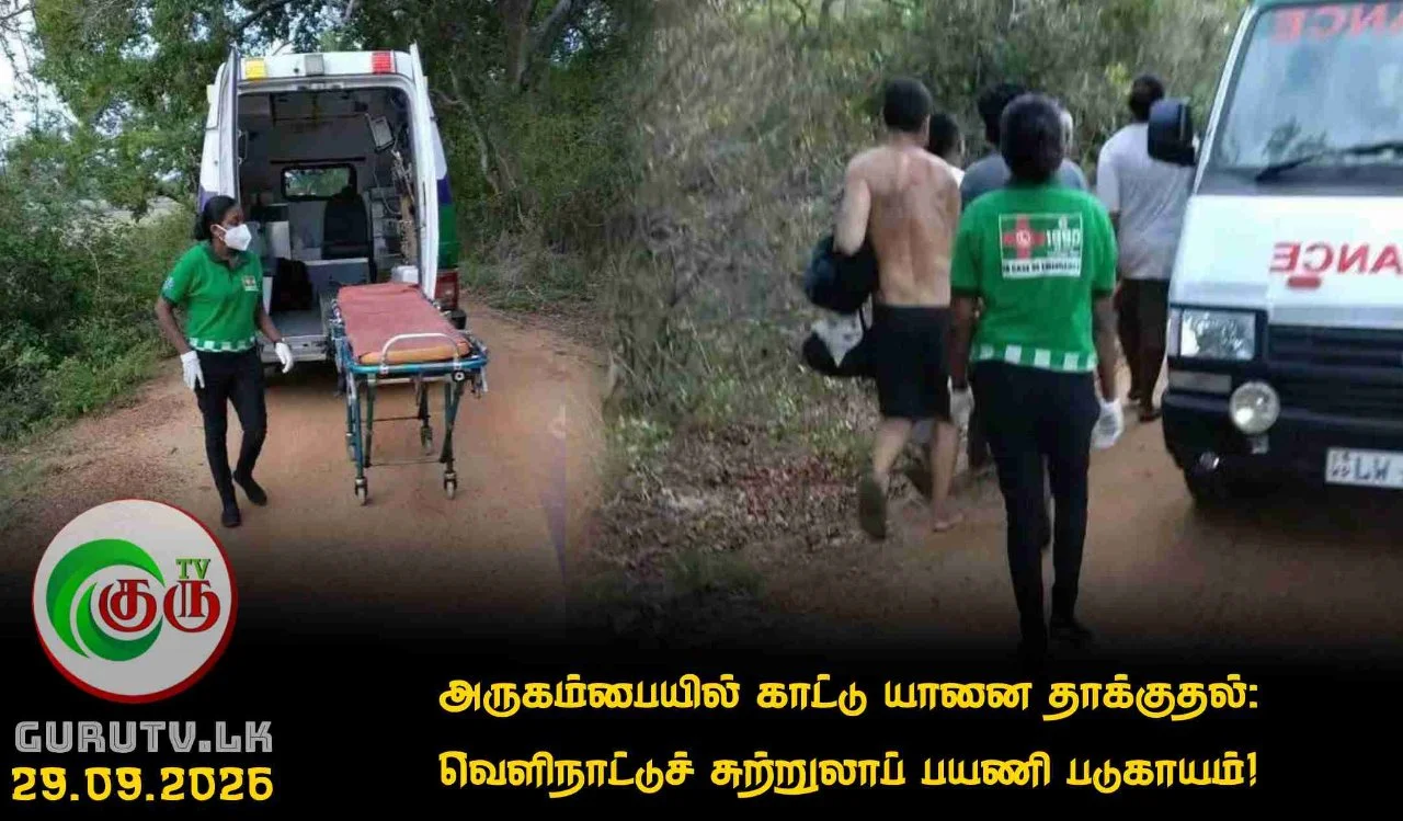 அருகம்பையில் காட்டு யானை தாக்குதல்: வெளிநாட்டுச் சுற்றுலாப் பயணி படுகாயம்!