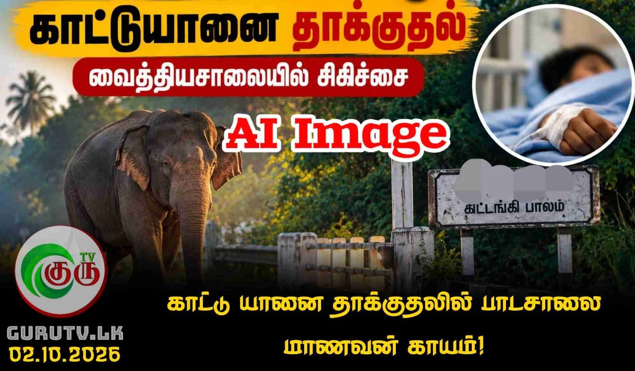 காட்டு யானை தாக்குதலில் பாடசாலை மாணவன் காயம்!