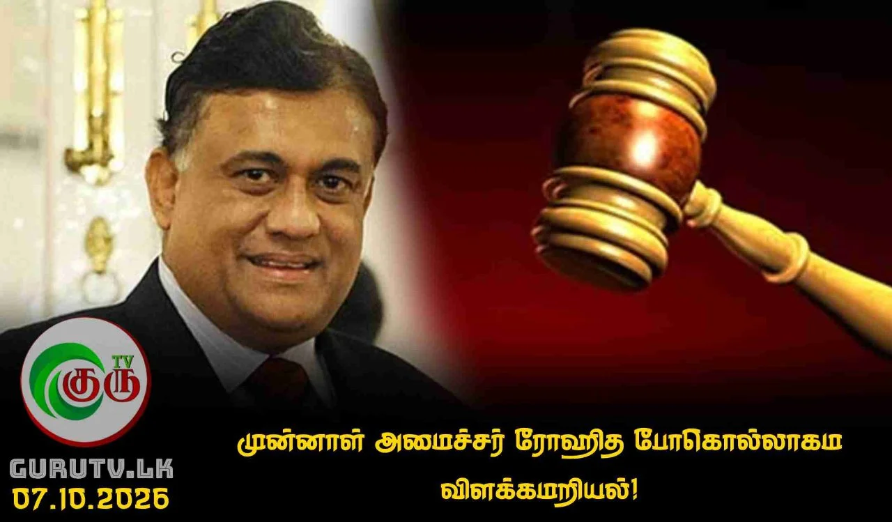 முன்னாள் அமைச்சர் ரோஹித போகொல்லாகம விளக்கமறியல்!