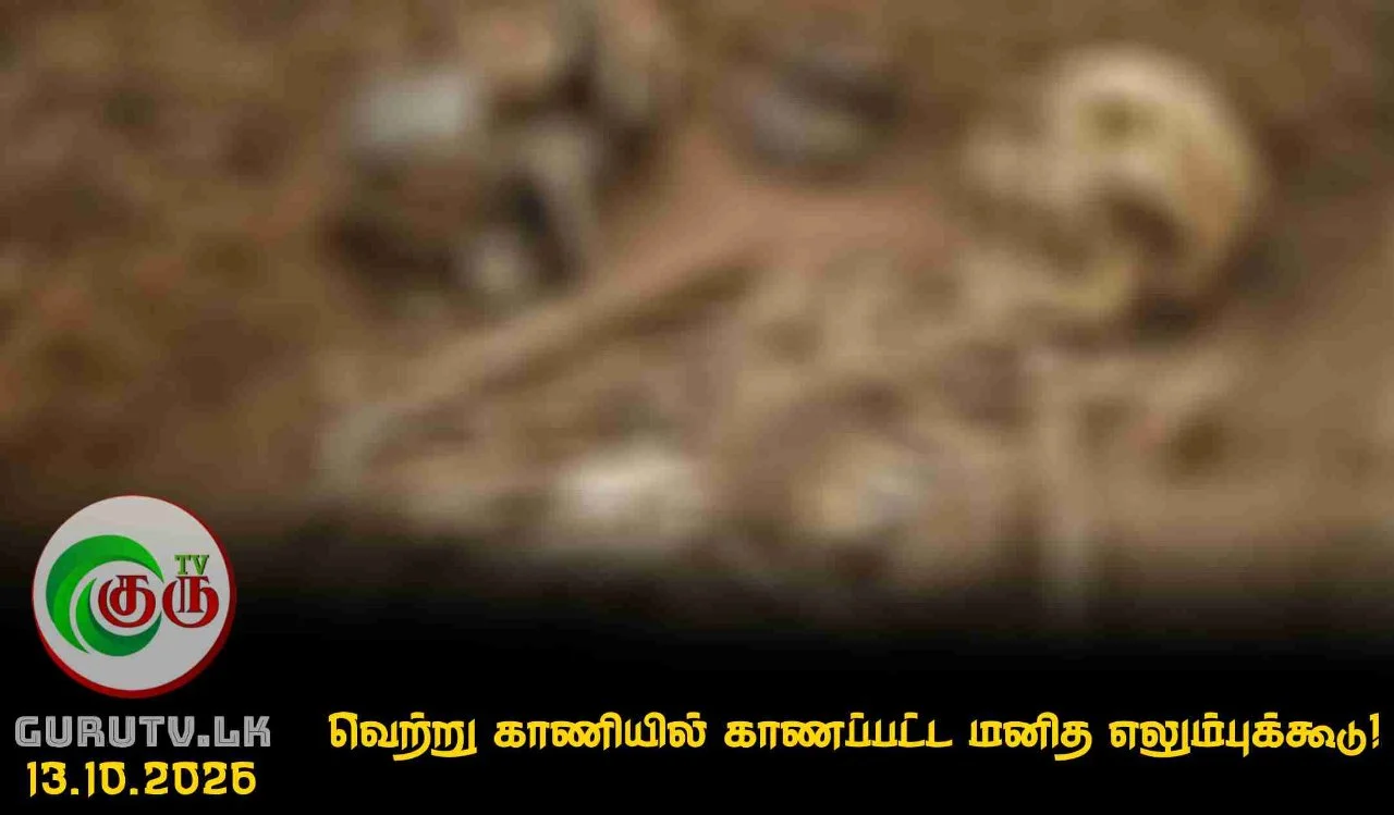 வெற்று காணியில் காணப்பட்ட மனித எலும்புக்கூடு!