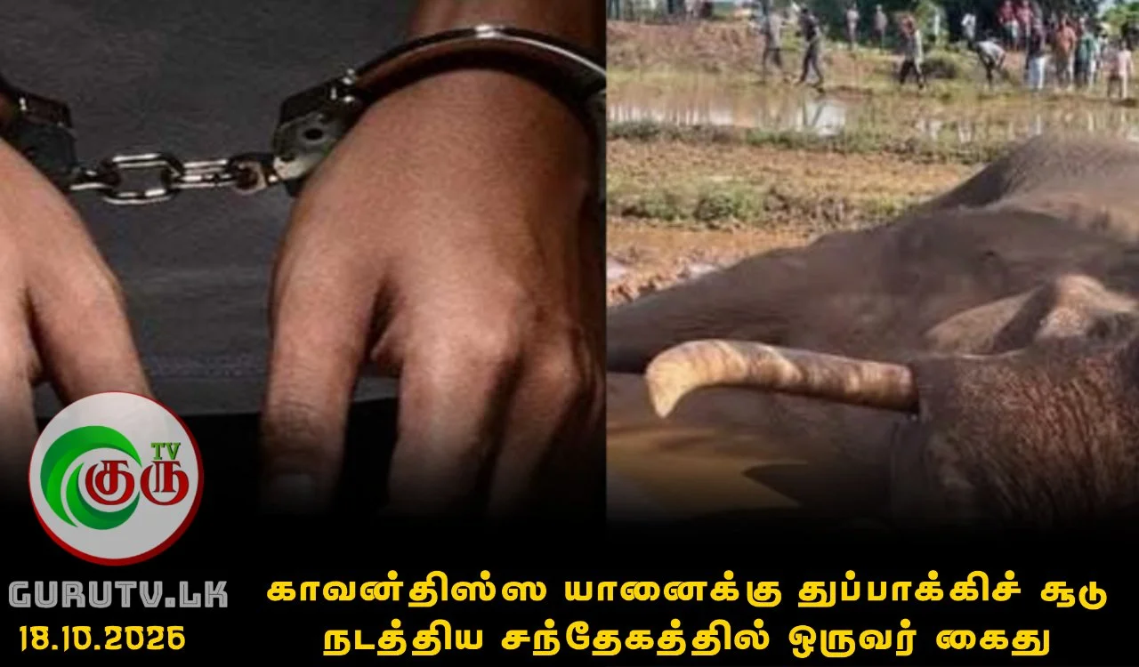 காவன்திஸ்ஸ யானைக்கு துப்பாக்கிச் சூடு நடத்திய சந்தேகத்தில் ஒருவர் கைது
