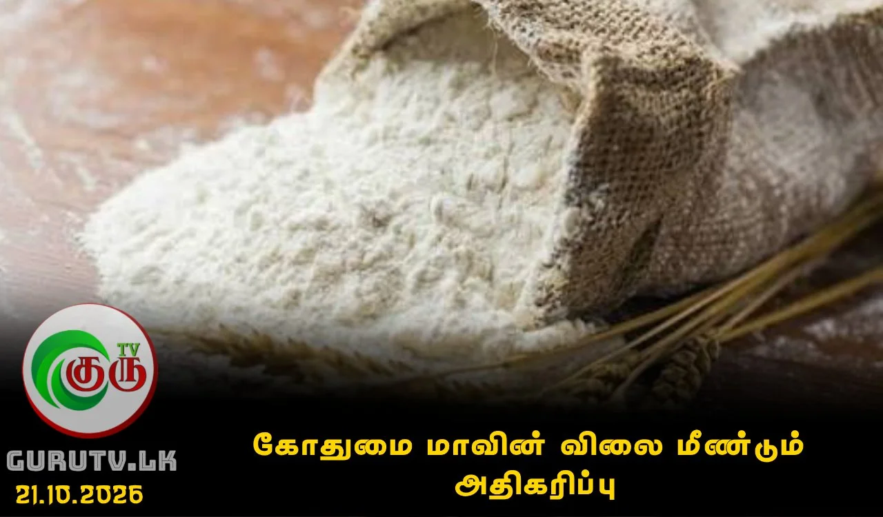 கோதுமை மாவின் விலை மீண்டும் அதிகரிப்பு