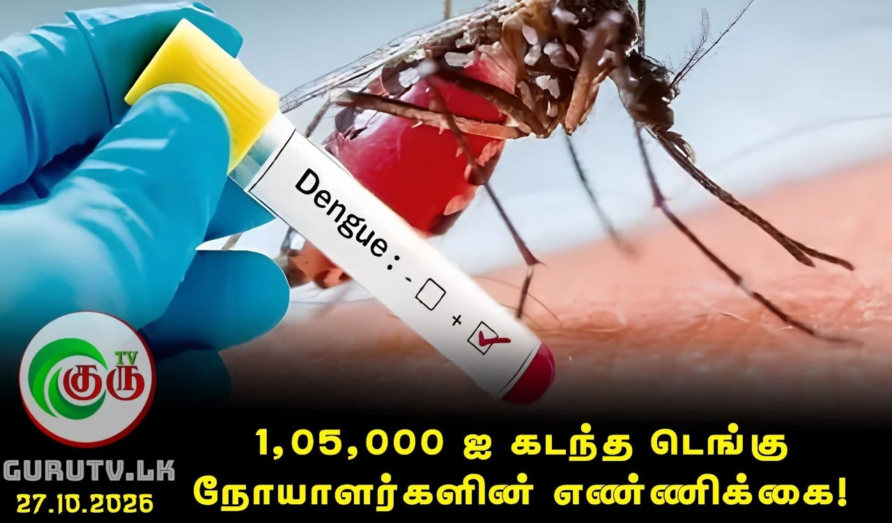 1,05,000 ஐ கடந்த டெங்கு நோயாளர்களின் எண்ணிக்கை!