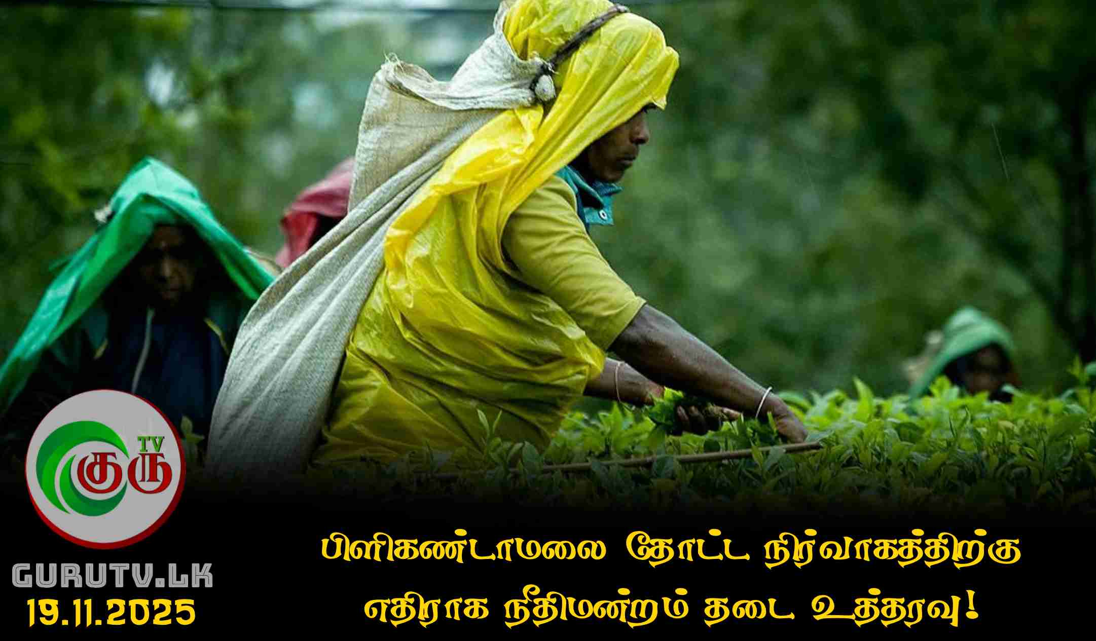 பிளிகண்டாமலை தோட்ட நிர்வாகத்திற்கு எதிராக நீதிமன்றம் தடை உத்தரவு!