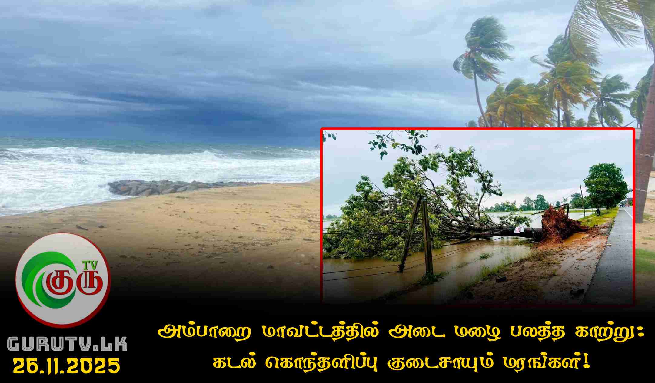 அம்பாறை மாவட்டத்தில் அடை மழை பலத்த காற்று: கடல் கொந்தளிப்பு குடைசாயும் மரங்கள்!