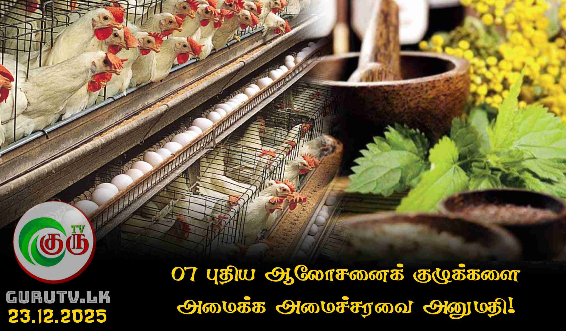 07 புதிய ஆலோசனைக் குழுக்களை அமைக்க அமைச்சரவை அனுமதி!