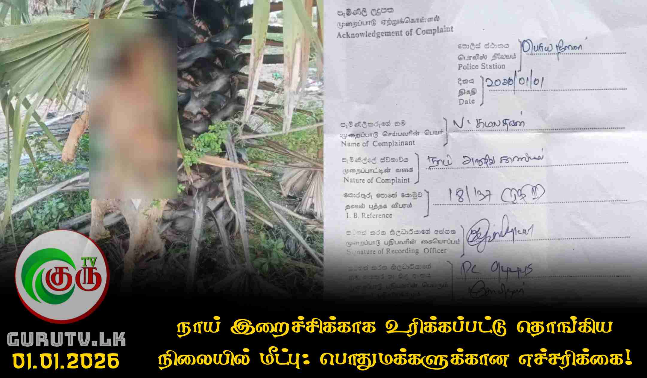 நாய் இறைச்சிக்காக உரிக்கப்பட்டு தொங்கிய நிலையில் மீட்பு: பொதுமக்களுக்கான எச்சரிக்கை!